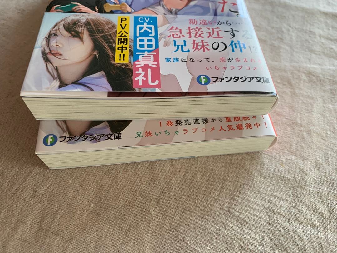 【白井ムクサイン入り】じつは義妹(いもうと)でした。1&2冊セット
