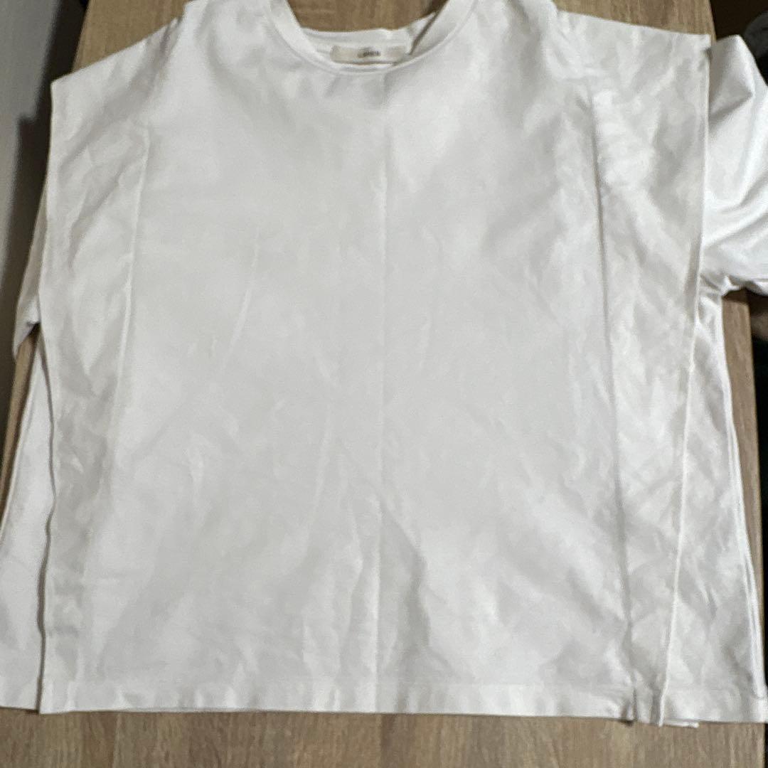 45【ローヘン】デザインカットソー　Tシャツ　無地　シンプル　白　F