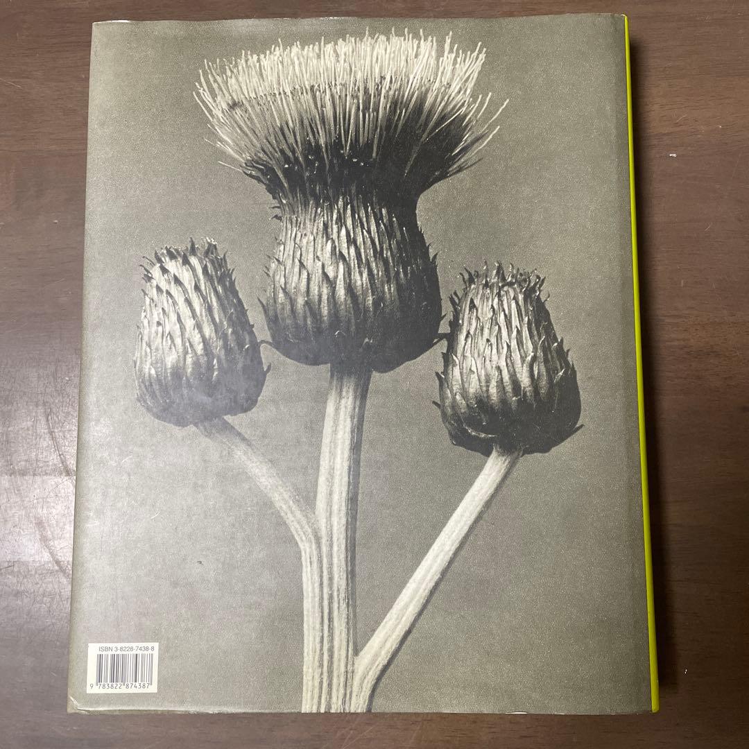 カールブロスフェルド　Karl blossfeldt 写真集