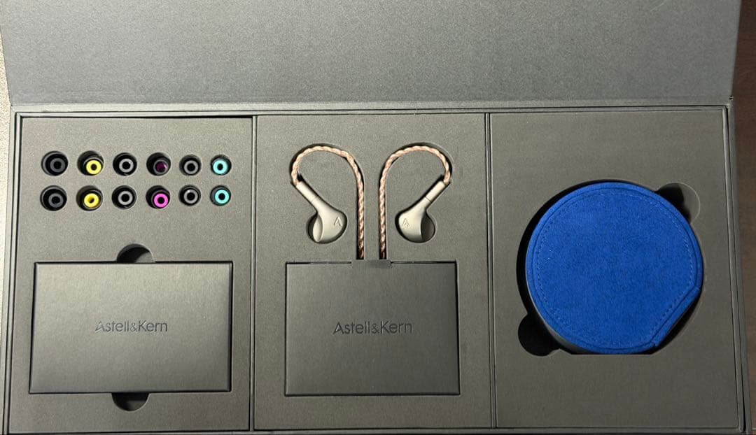 【美品】Astell&Kern LUNA（有線イヤホン）