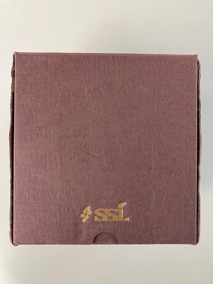 SSI ミッシングシークレットプログラム　CD１２枚