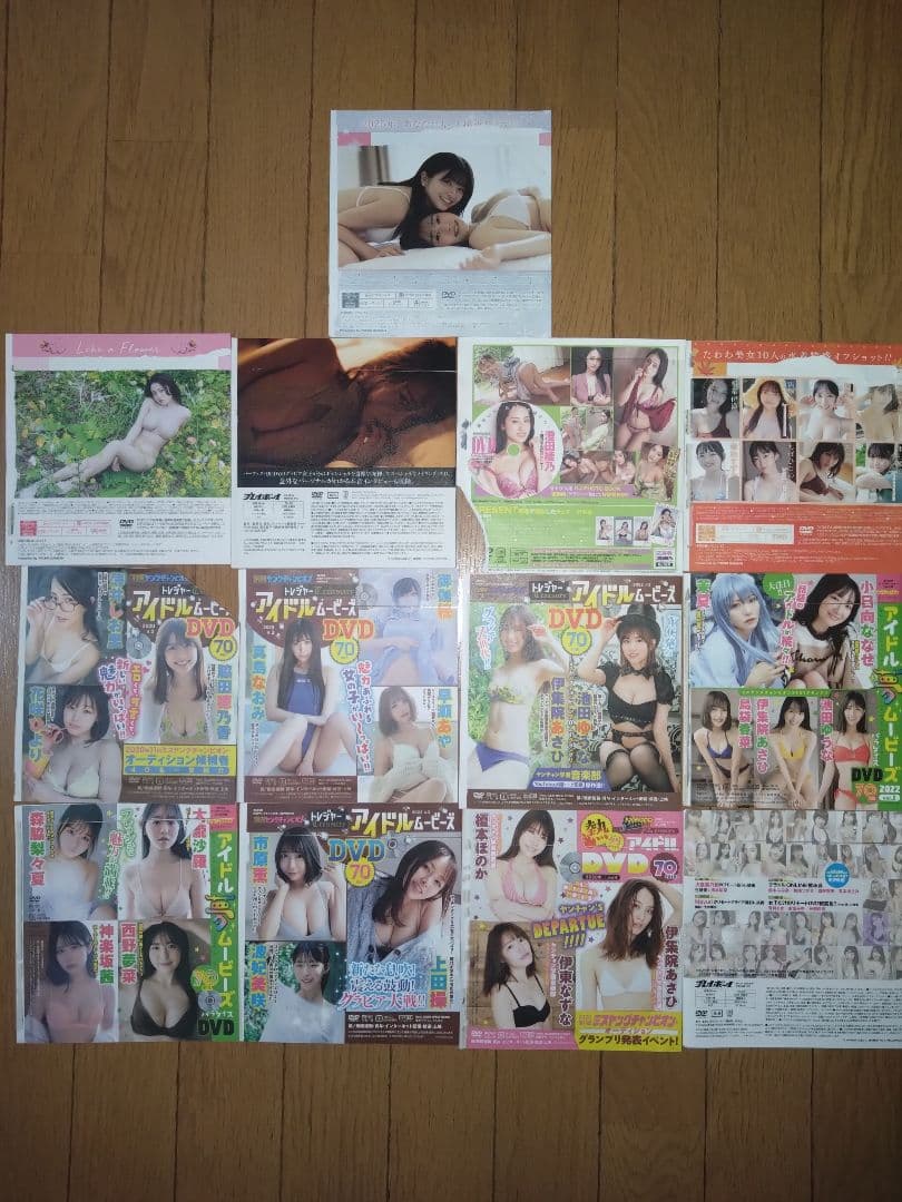 ヤングチャンピオン ヤングアニマル等 雑誌付録 DVD セット 計27枚