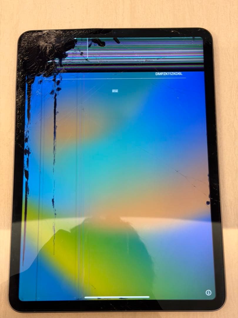 Apple iPad Pro 11インチ　第一世代 256gb
