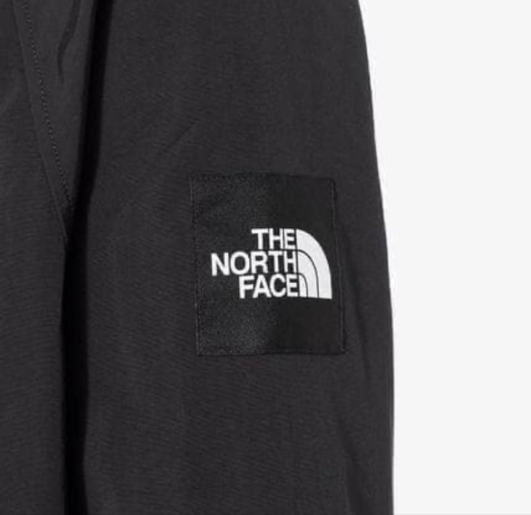 韓国限定 THE NORTH FACE オレマEX ボンバージャケット L