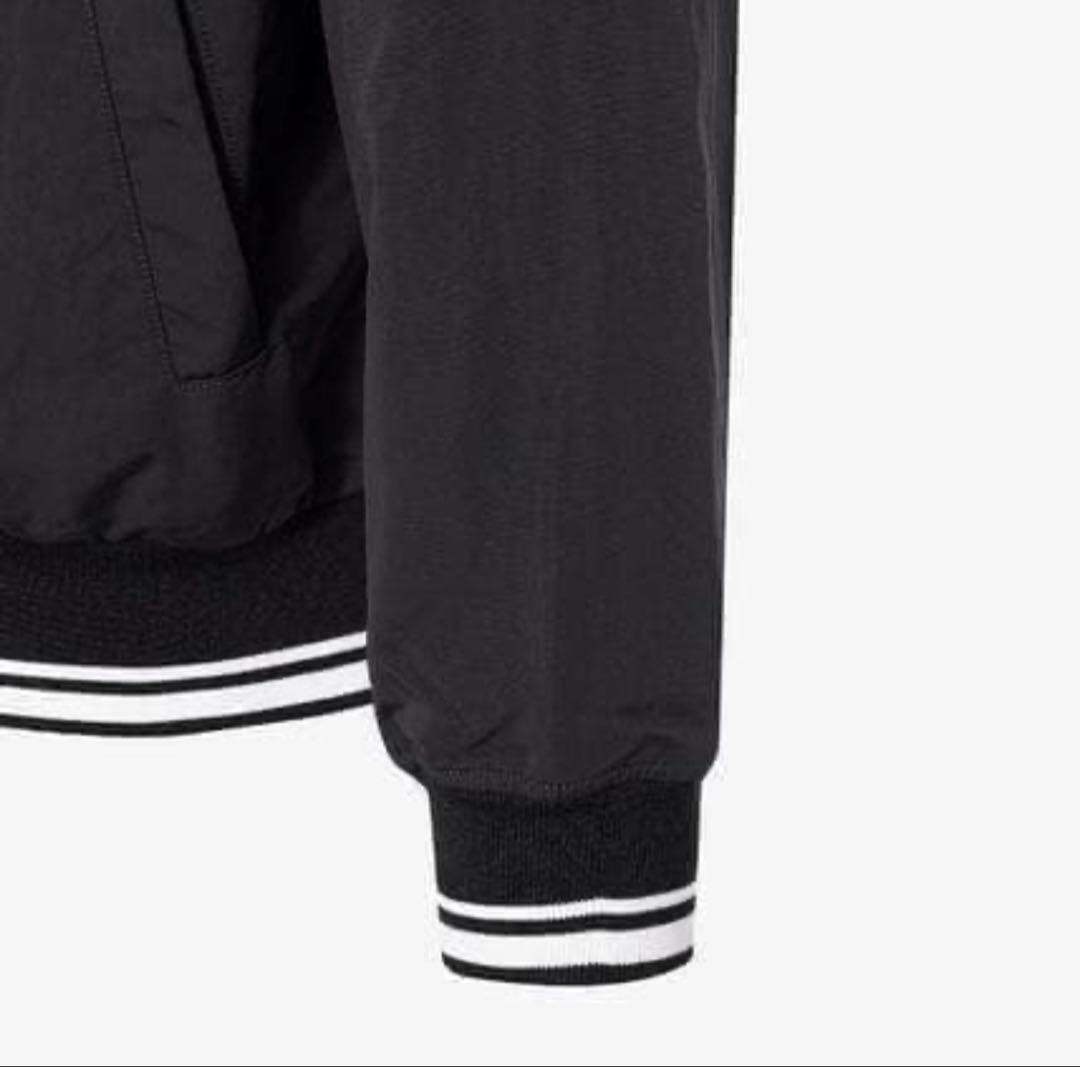 韓国限定 THE NORTH FACE オレマEX ボンバージャケット L