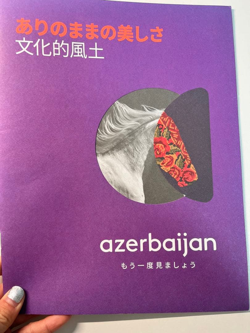 【2025年関西万博特別出版】アゼルバイジャン パビリオン非売品 1点のみ