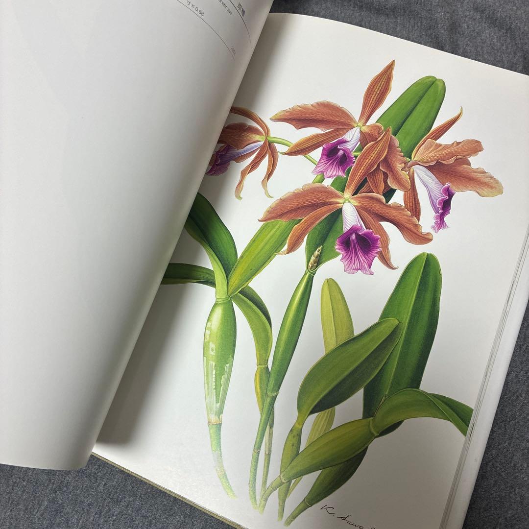 BOTANICAL ART KAHO SAWADA 大型本　定価1万2000円