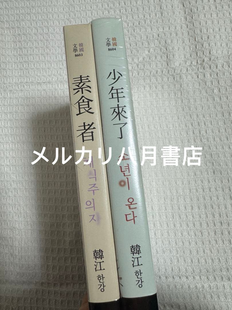 B素食者➕少年来了 韩江 繁体版