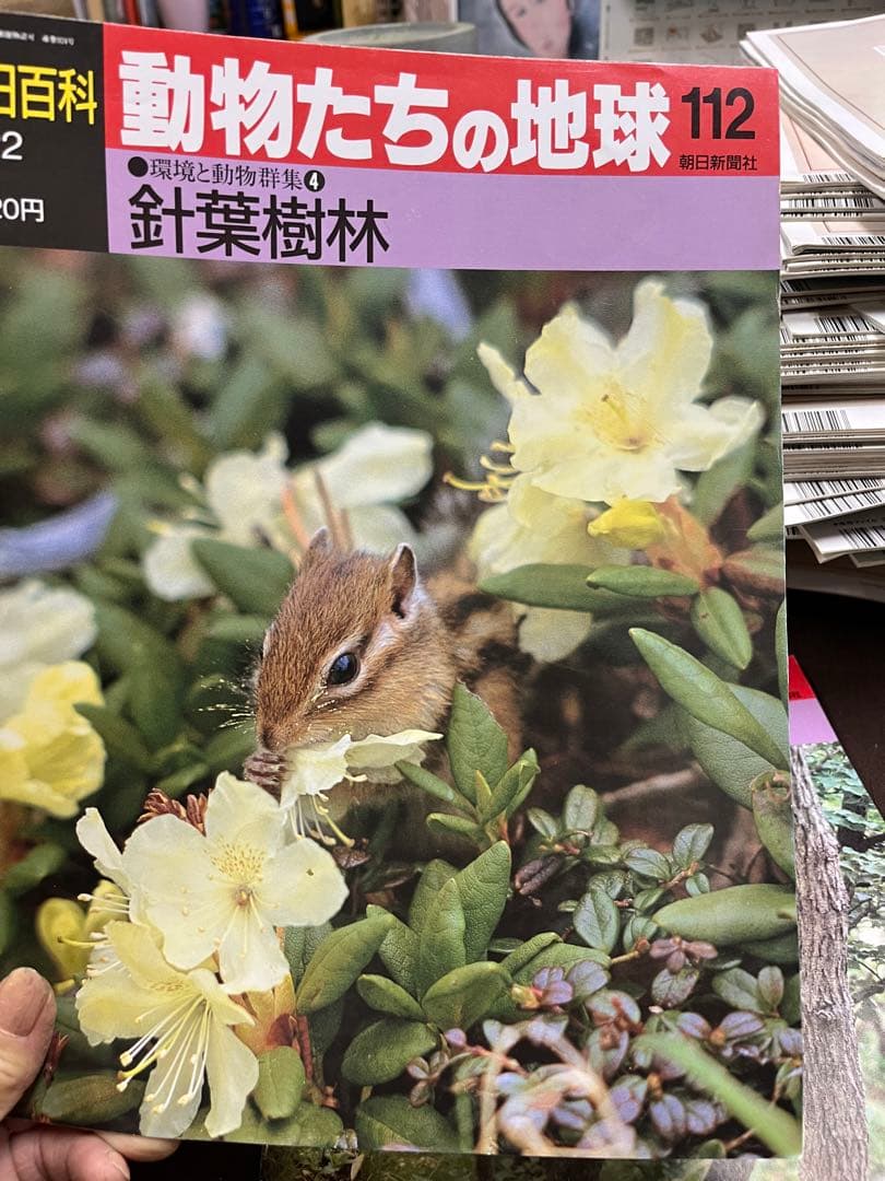 週間朝日百科　動物たちの地球 1〜144