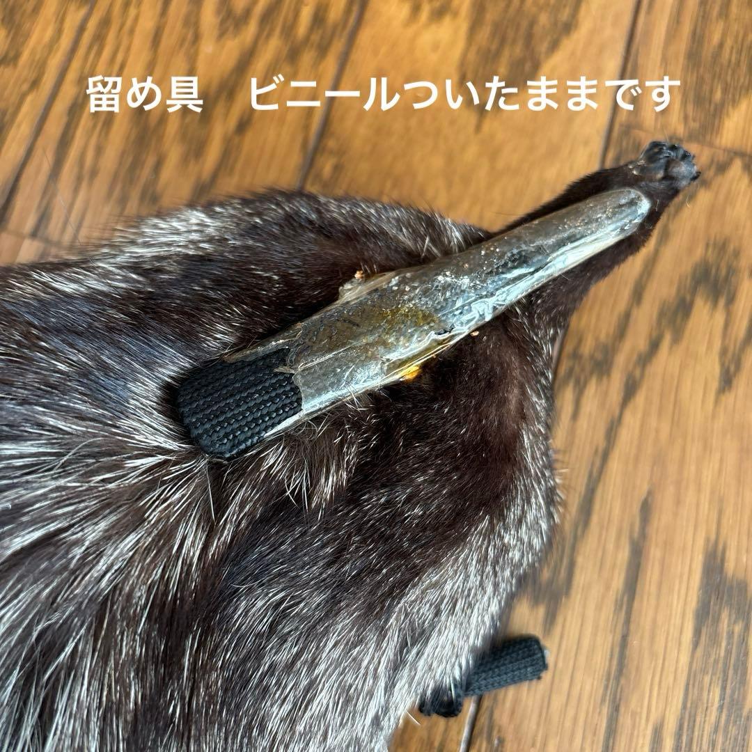 シルバーフォックス　きつね　リアルファー　剥製　毛皮　着物　襟巻き　高級　豪華