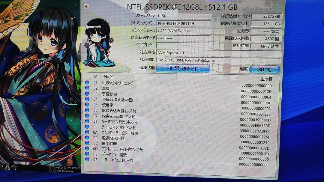 INTEL SSDPEKKF512G8L 512GB NVMe SSD 2枚組