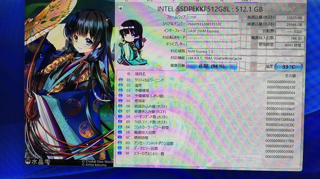 INTEL SSDPEKKF512G8L 512GB NVMe SSD 2枚組