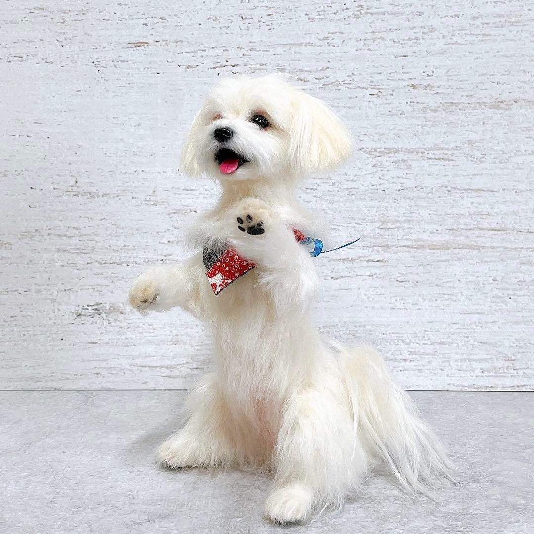 羊毛フェルト 犬 マルチーズ