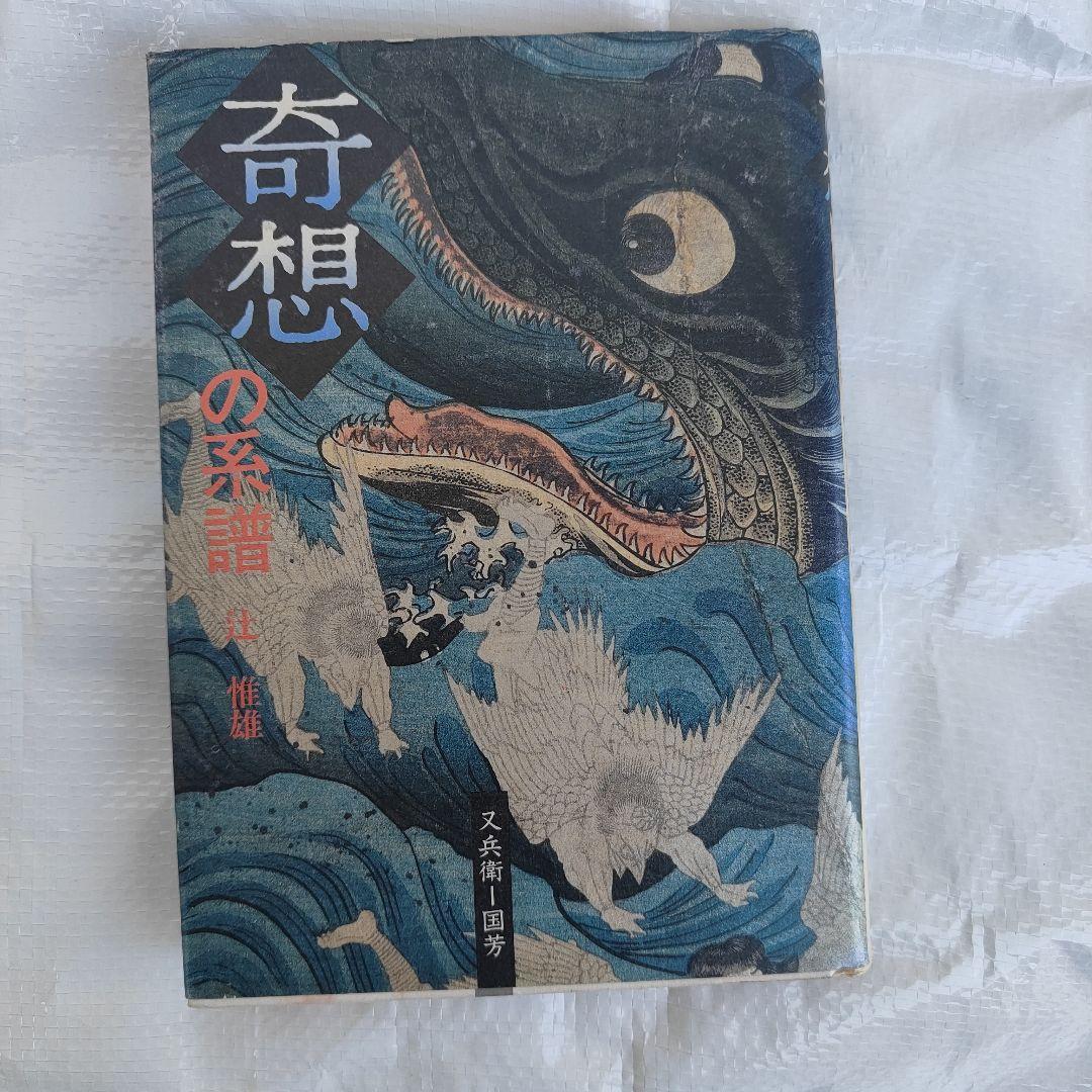 奇想の系譜 辻惟雄 初版 ぺりかん社