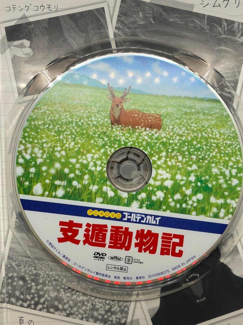 【即購入可】ゴールデンカムイ　23巻アニメDVDのみ　姉畑支遁