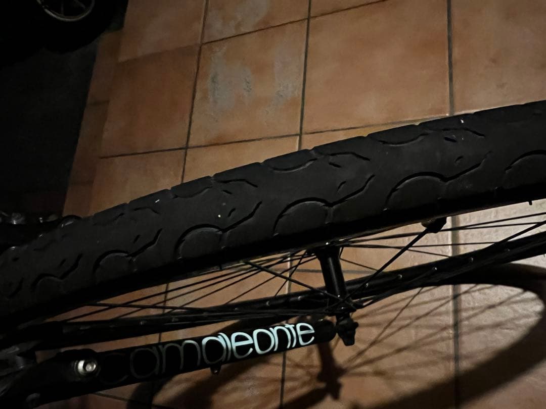 Bianchi （ビアンキ） CAMALEONTE1