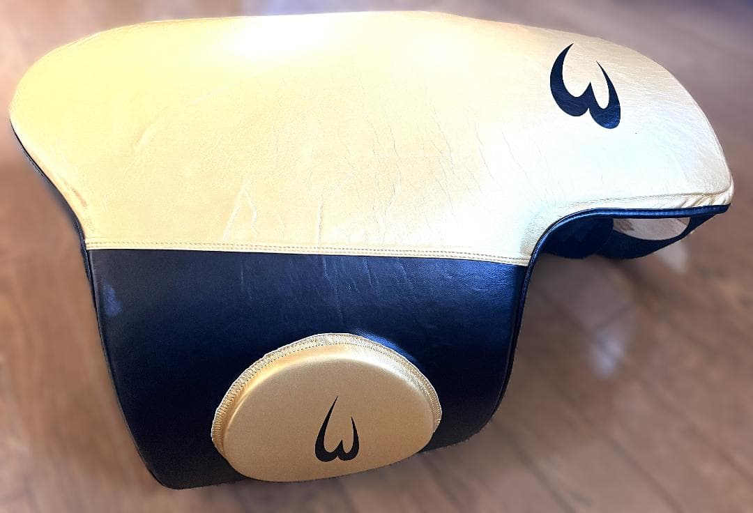 ボディメーカー プロテクター LIMITED MODEL