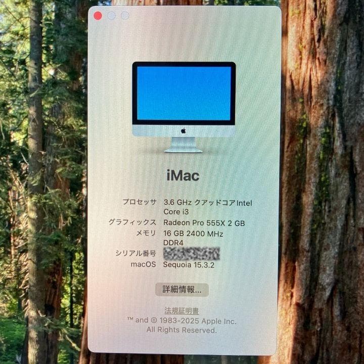 iMac 2019 21.5 メモリ16GB SSD1TB【中古美品】