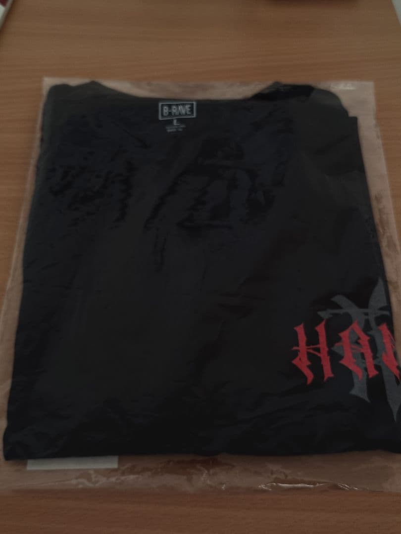 HANA　Tシャツ　Lサイズ