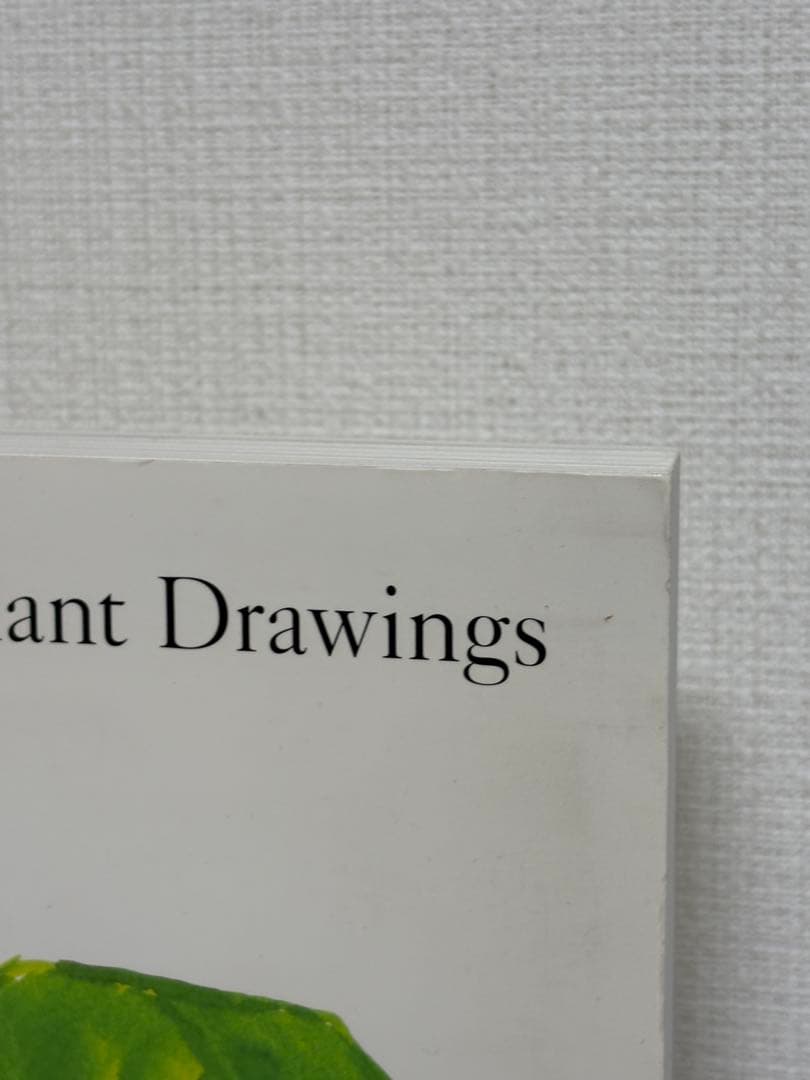 アート・デザイン・音楽 Ellsworth Kelly Plant Drawings