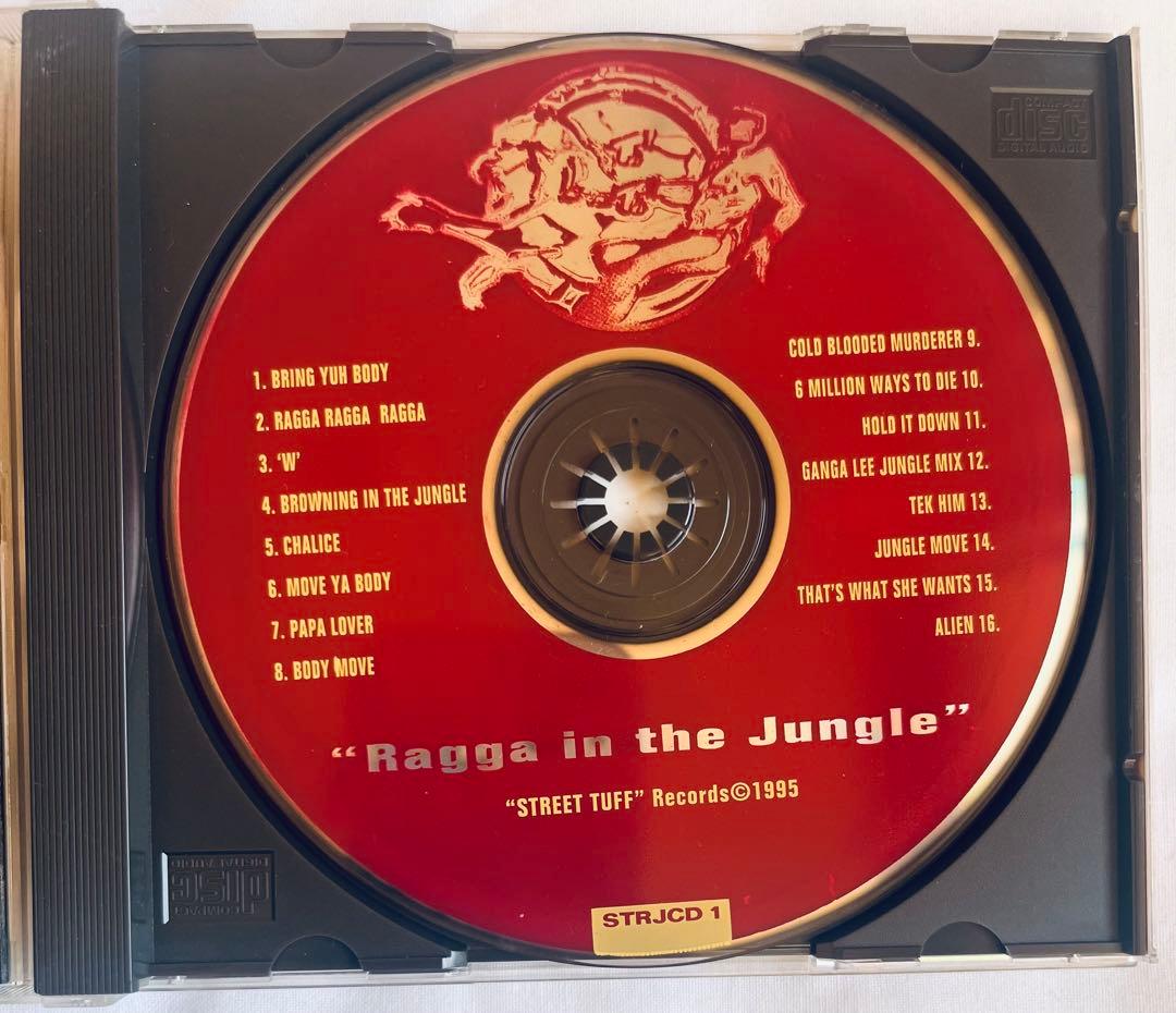 レア盤 Various / Ragga in the Jungle 1995