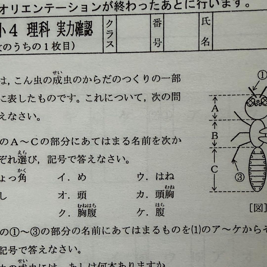 最新　Vクラス 復習テスト　3科目　算数　理科　国語　2026年　即発送　春期