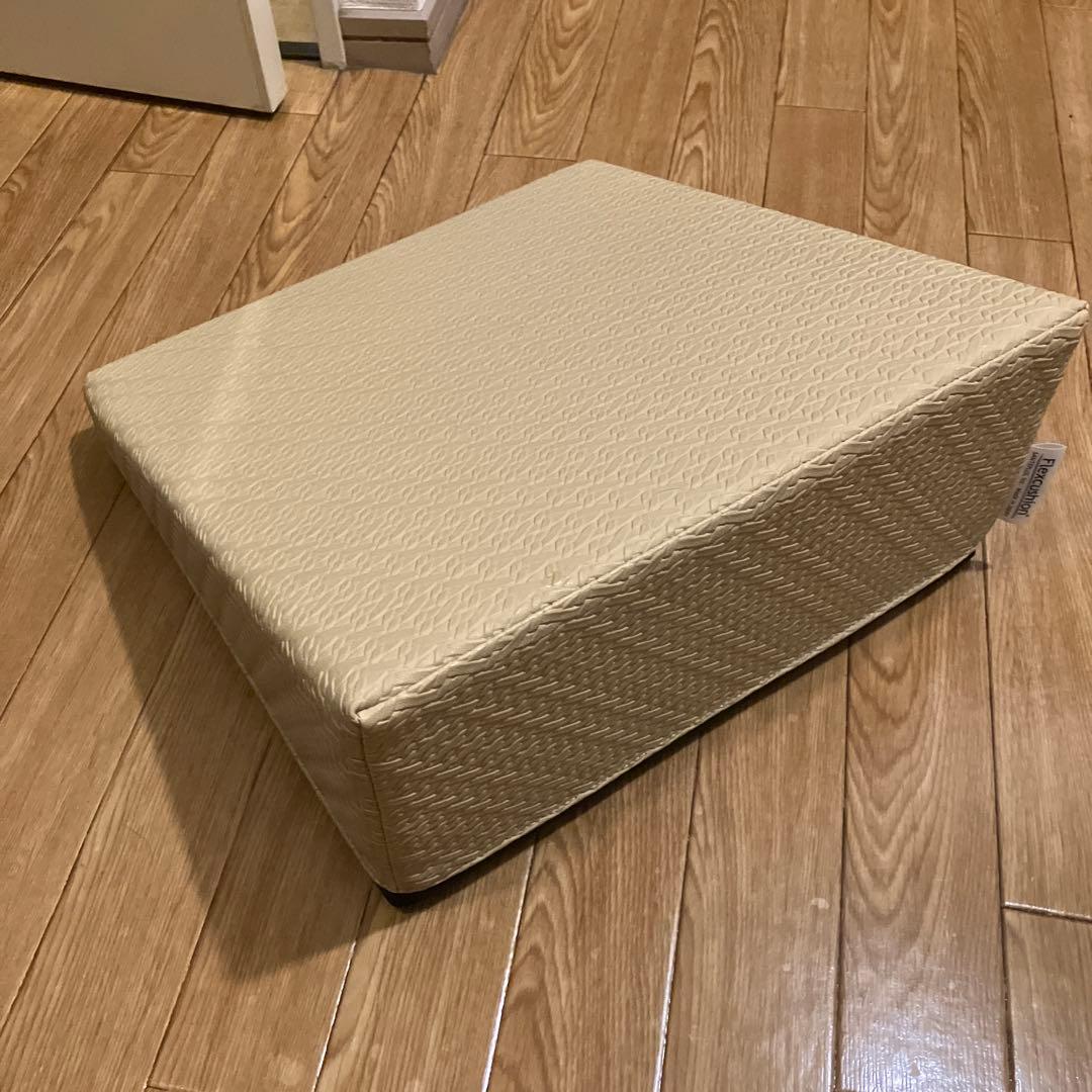 サンテプラス フレックスクッション ベージュ ストレッチ エクササイズ