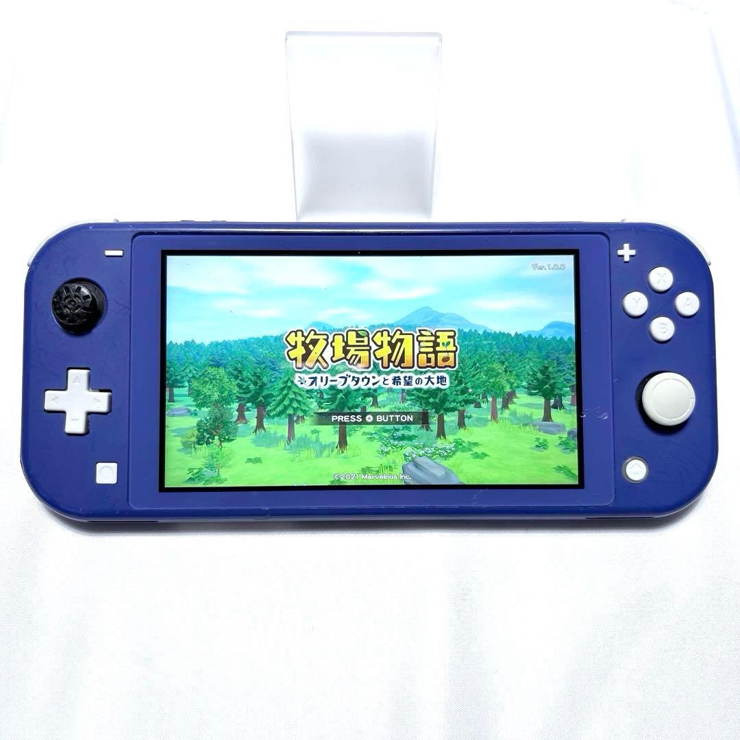 Nintendo switch Lite 本体 ブルー 動作確認済み