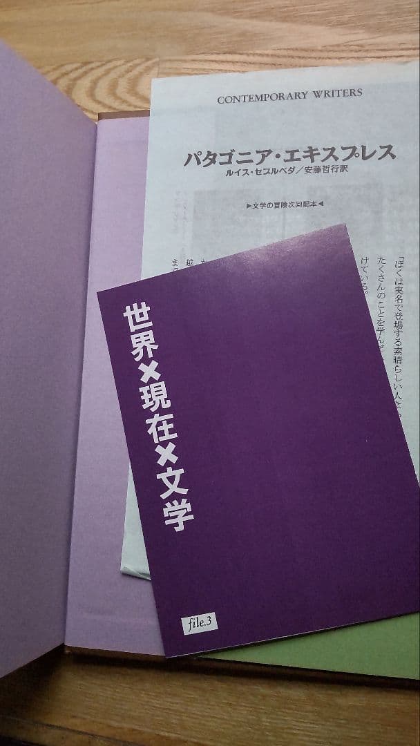 土台穴　アンドレイ・プラトーノフ　国書刊行会　亀山郁夫　訳
