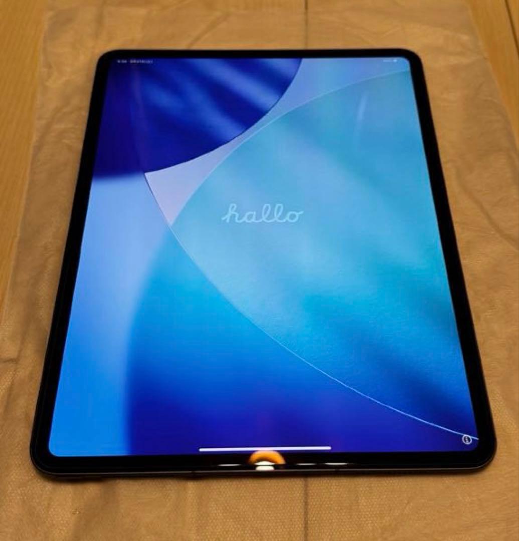 iPad Pro 13 M4 チップ 2024 Wi-Fi + Cellular