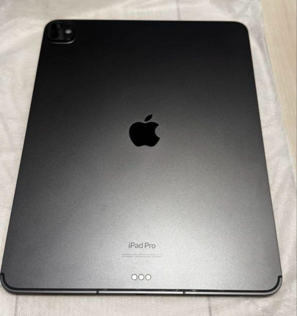 iPad Pro 13 M4 チップ 2024 Wi-Fi + Cellular