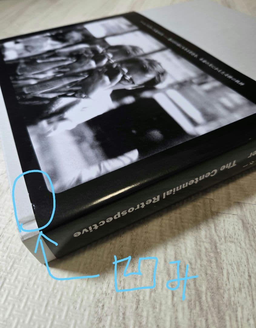 ソールライター The Centennial Retrospective 帯付き
