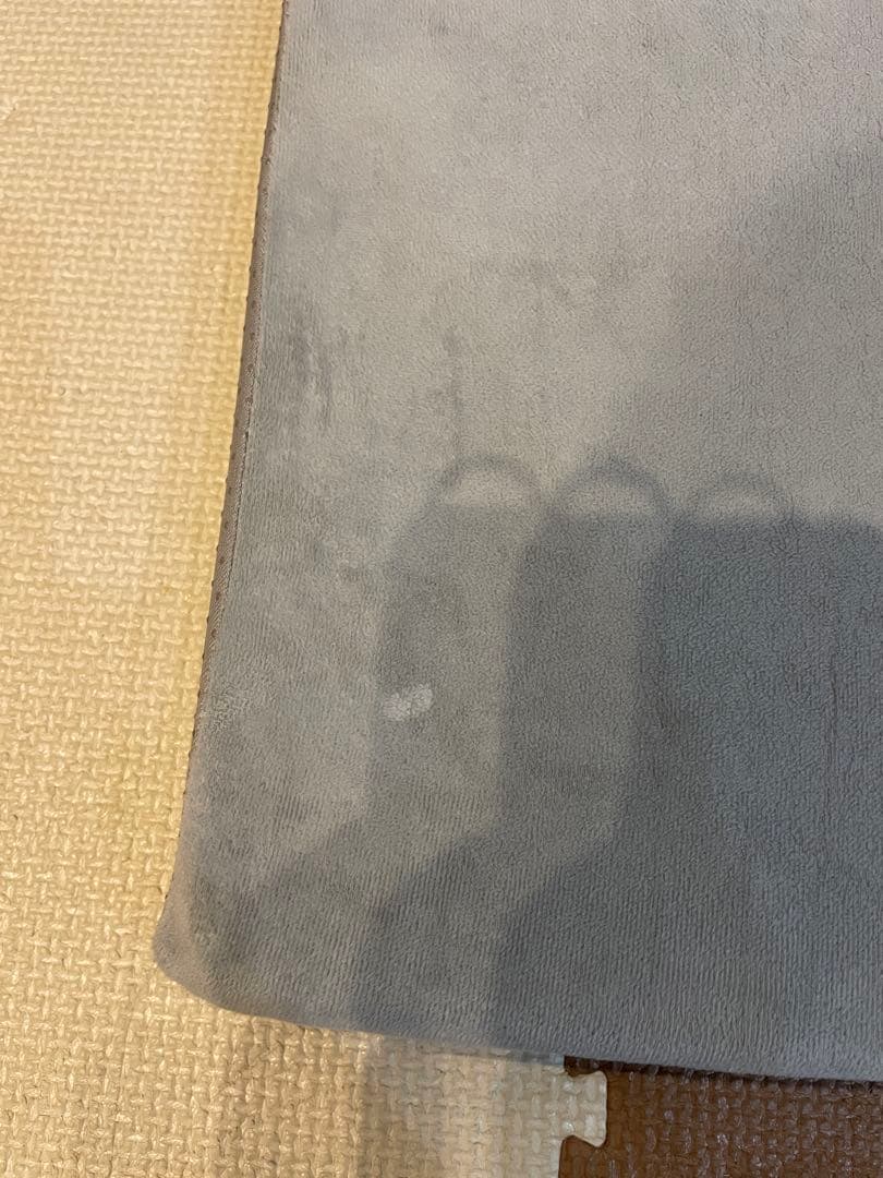 【お値下げ】runpet Drybo PlusドライボプラスPD50