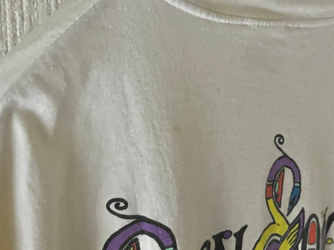 ビンテージ！LED ZEPPELIN SWAN SONG Tシャツ