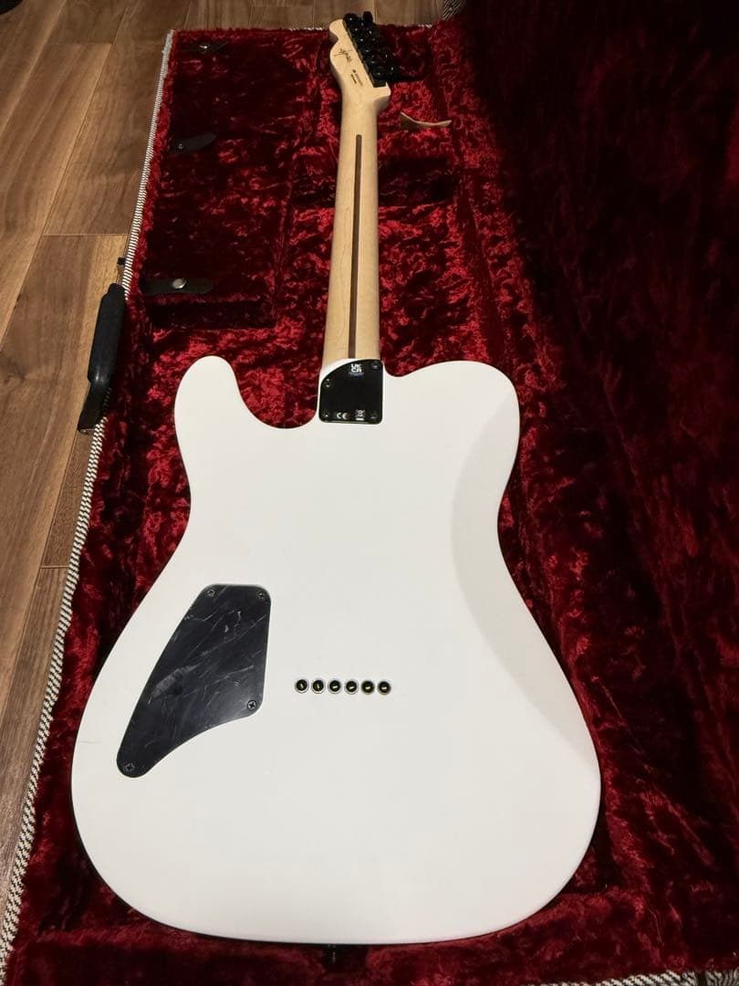 ギター Fender Telecaster jim root