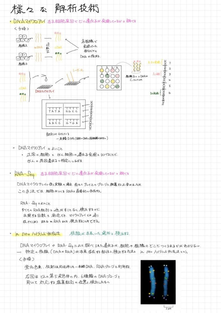 ※くーま エッセンシャル細胞生物学 自作問題集