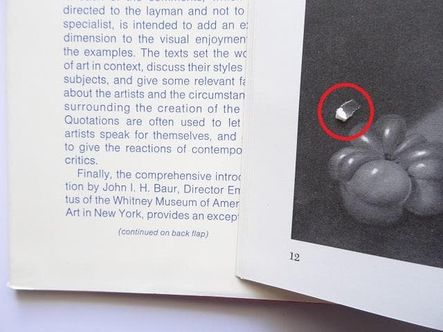 洋書◆アメリカの絵画と彫刻作品写真集 本 画集