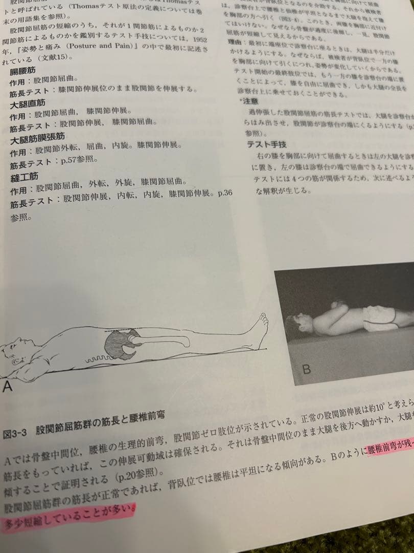 筋:機能とテスト : 姿勢と痛み　ケンダル