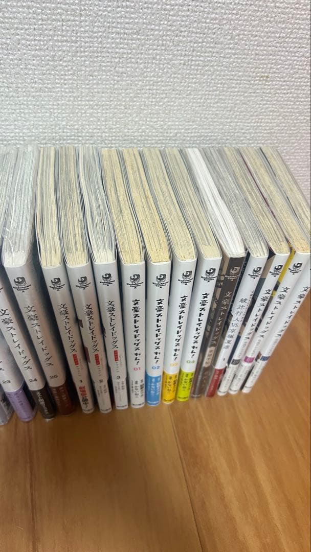 文豪ストレイドッグス 漫画セット 25巻