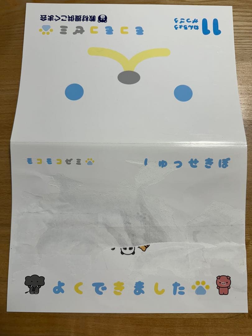 こぐま会 モコモコゼミ 年長 1年分