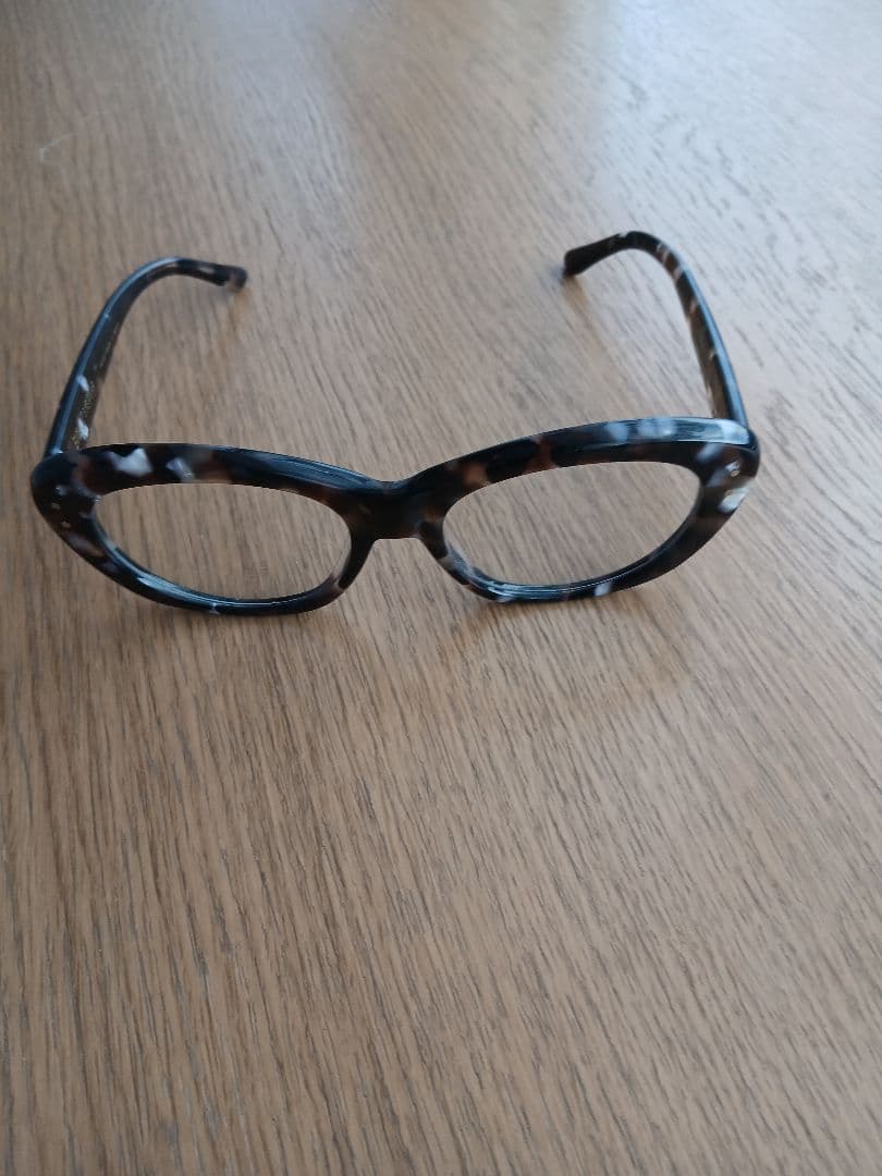 EVILACT Eyewear GREYHOUND サングラス調光レンズ