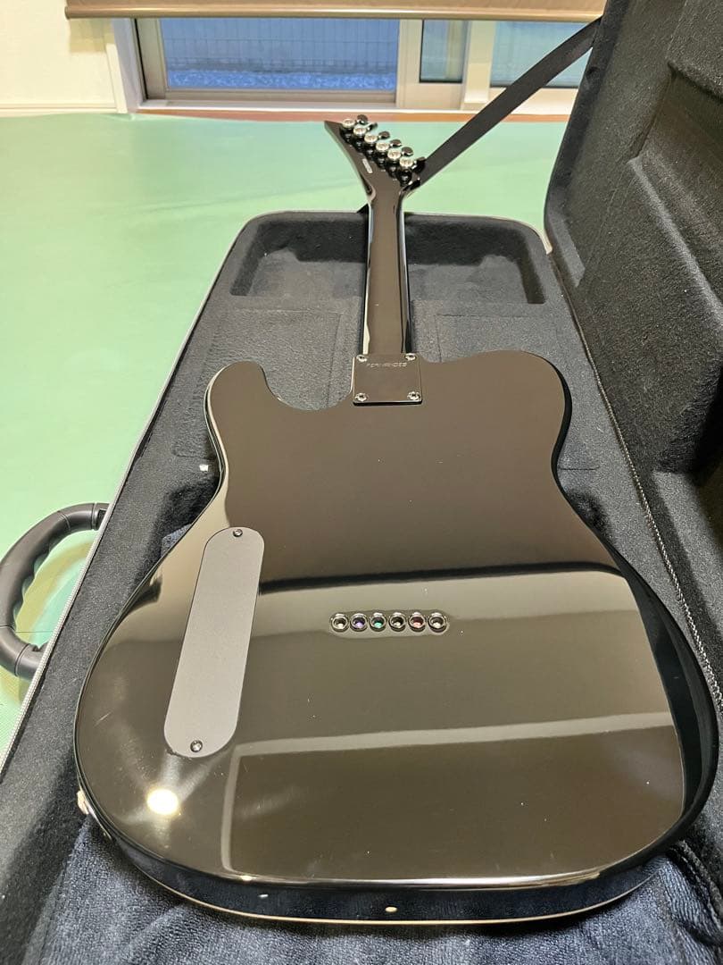 布袋　FERNANDES STEJ-DLX 2S EMGピックアップ搭載