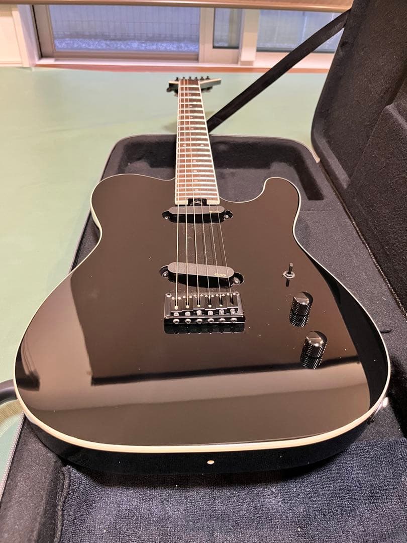 布袋　FERNANDES STEJ-DLX 2S EMGピックアップ搭載