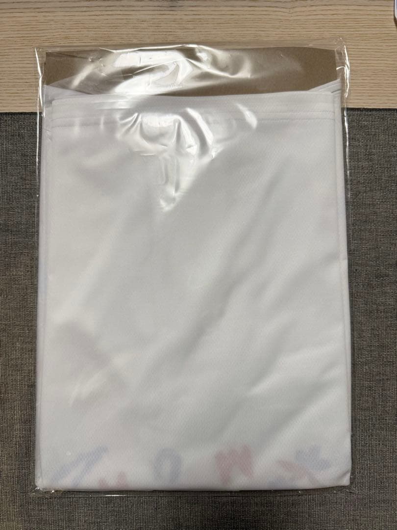CHUMS×北海道マラソン T-shirt / M size