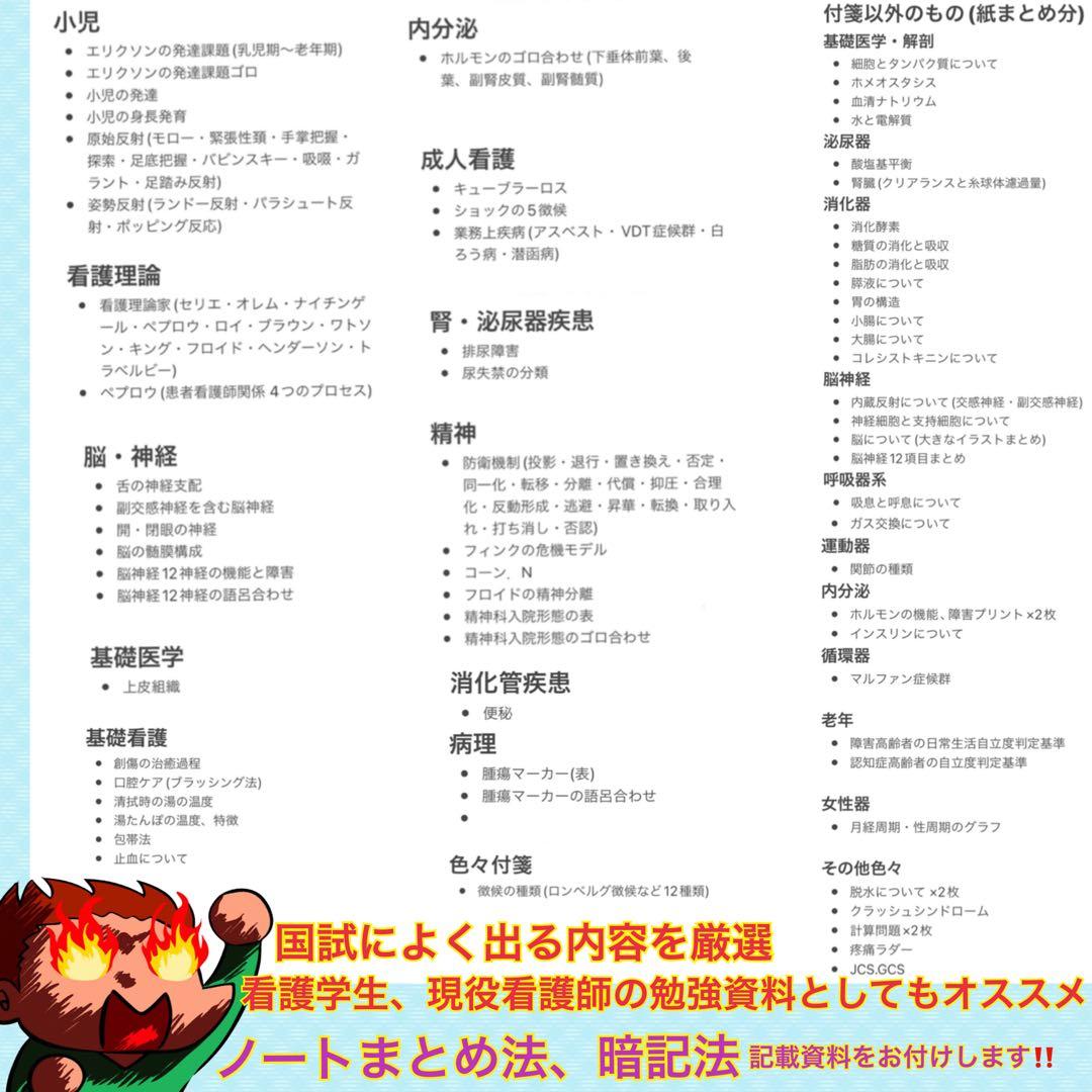 激安‼️ 看護師国家試験まとめノート付箋ノート 国試 解剖生理学 看護学生