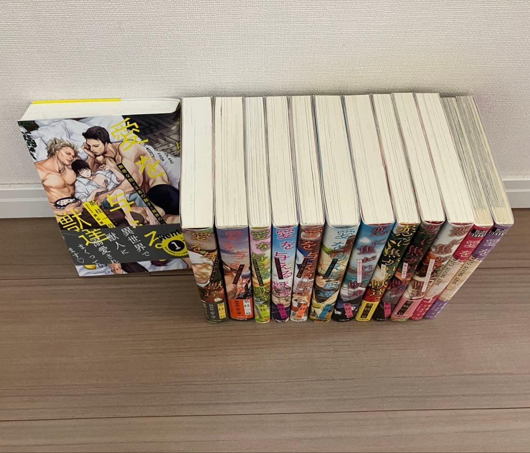 愛を与える獣達 シリーズ 13冊セット