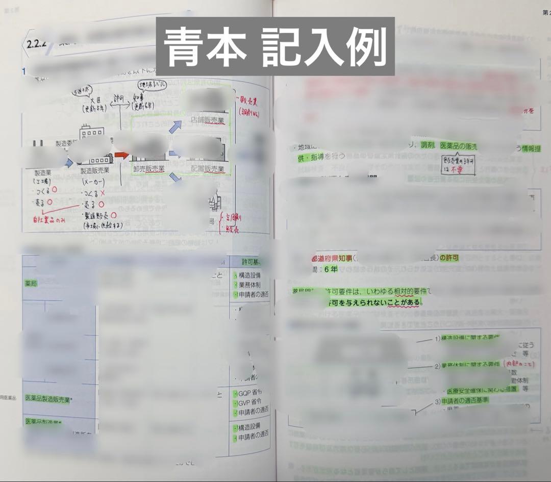 第111回 薬剤師国家試験対策セット 青本・青問・白問 まとめ売り