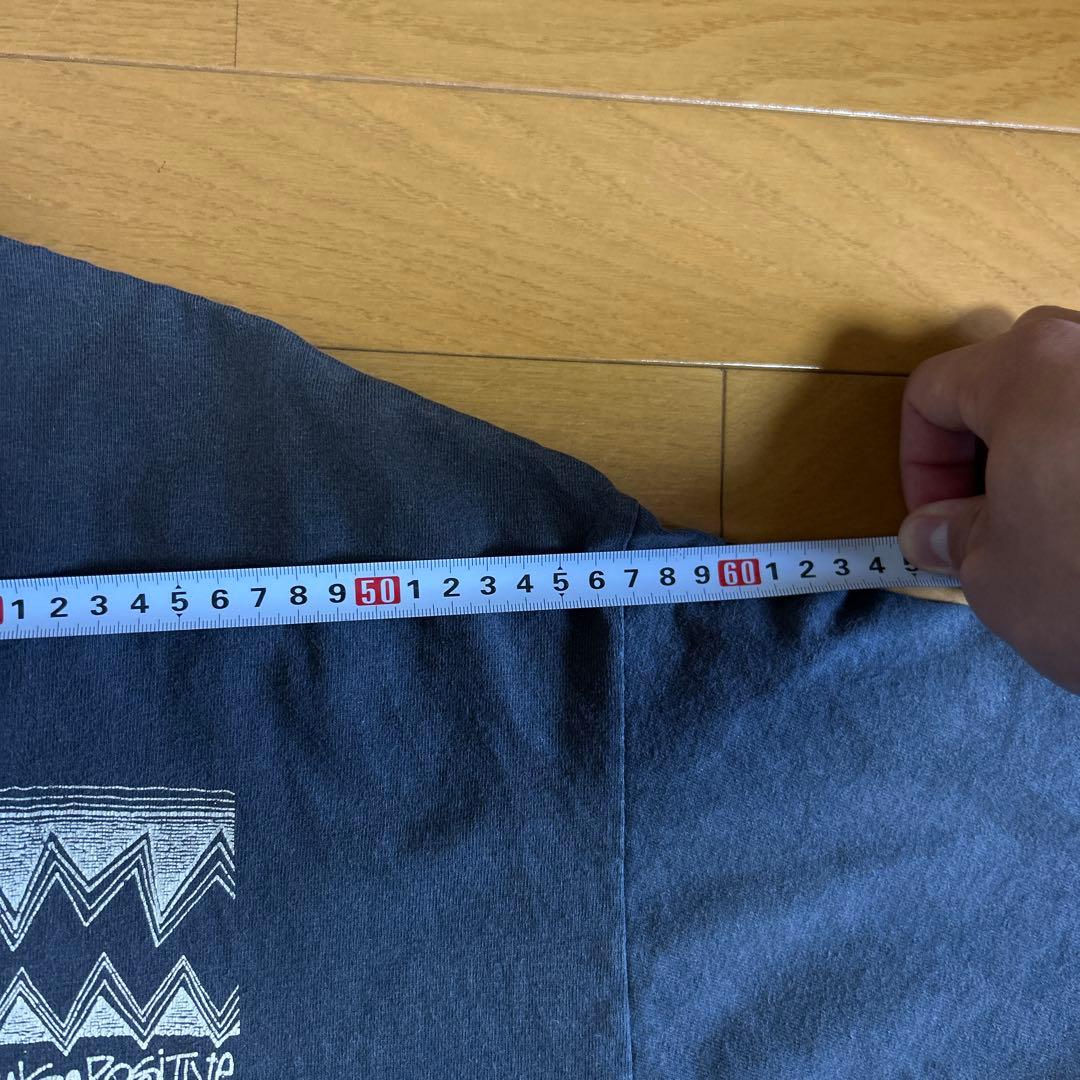 【XL】00s OLD STUSSY ラスタライオン Tシャツ 黒タグ フェード