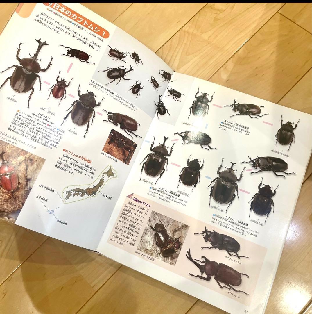 [夏休み限定出品]学研、小学館の図鑑シリーズ 11冊セット