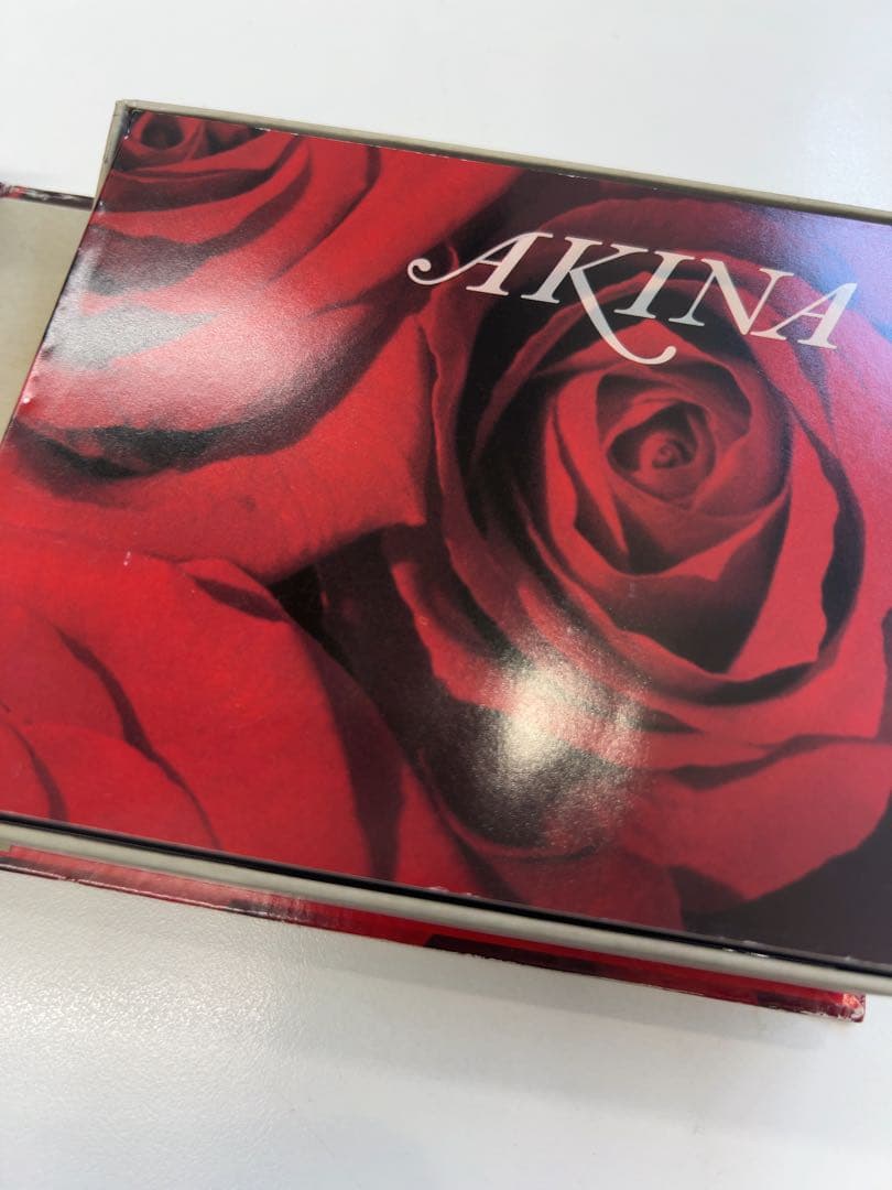 中森明菜 AKINA